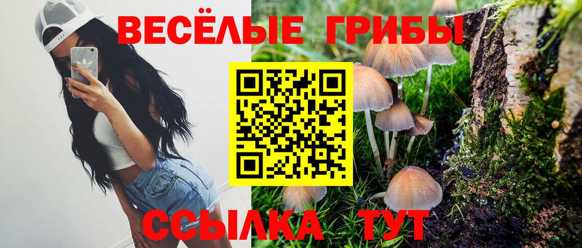Псилоцибиновые грибы MAGIC MUSHROOMS Фурманов