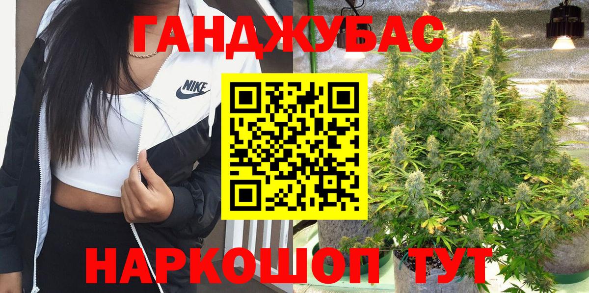 Бошки Шишки планчик Фурманов